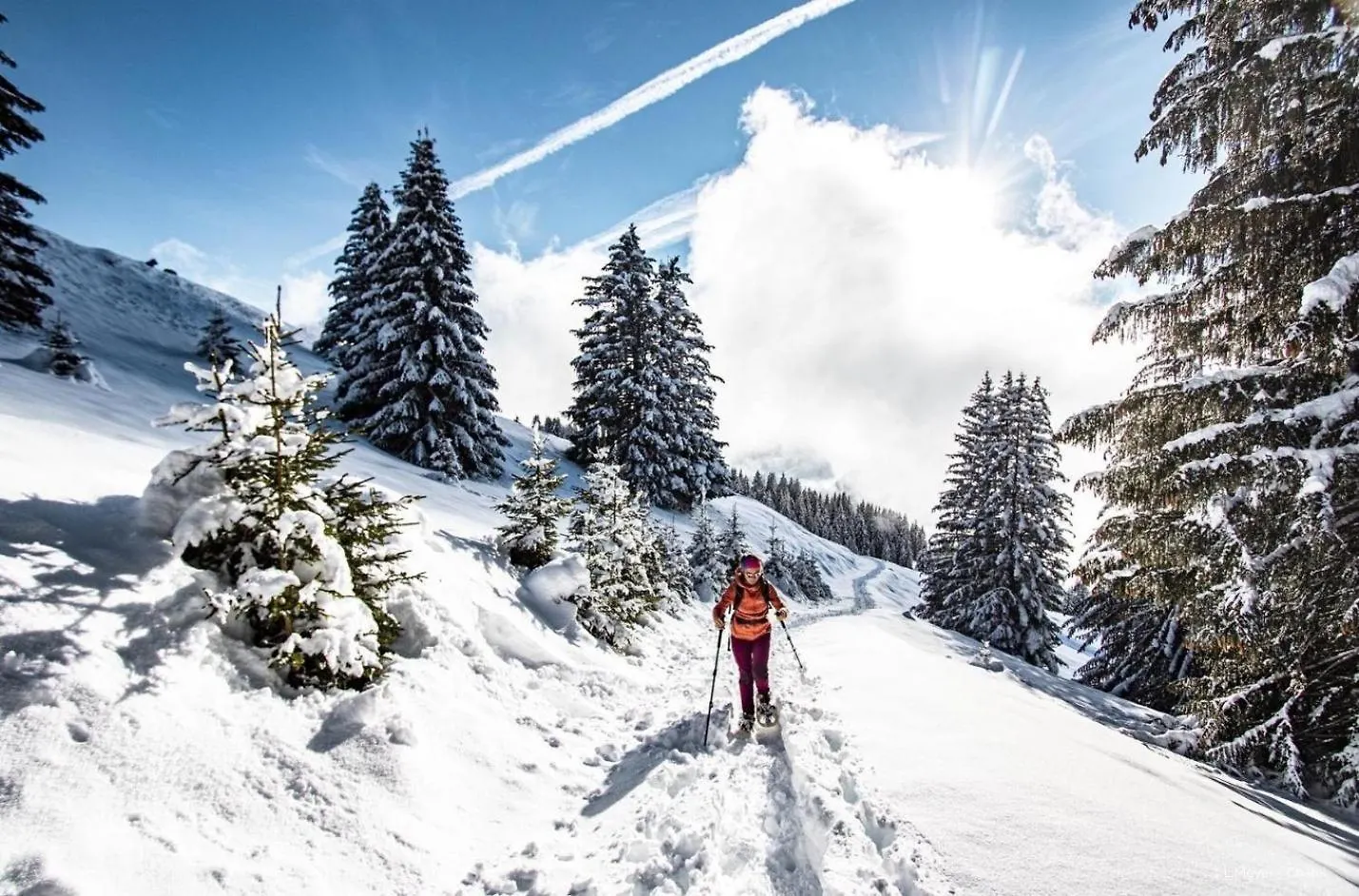 Grand Lodge Gra13 Spa & Mountain 6 Pers Chatel Apartment